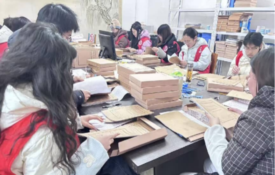 河南内乡：志愿“理档”守基石 青春“验卷”护农脉