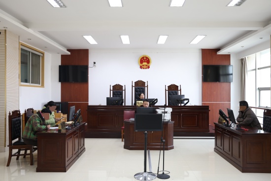 春启新程,实干开局!南阳卧龙区法院“满格”状态开工!