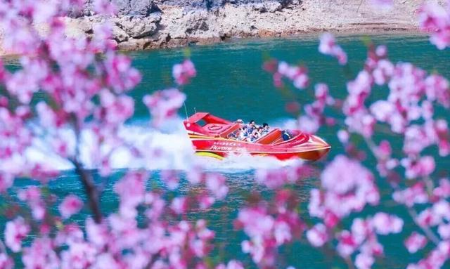 定了！河南这些景区免门票→