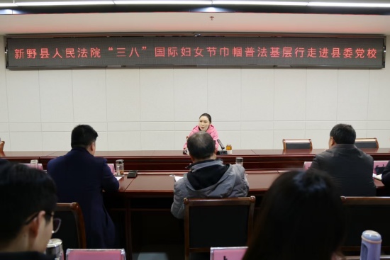 新野县法院：守护“她”权益 护航“她”力量