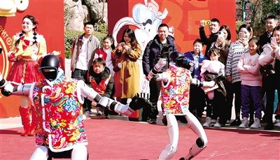 2026郑州春节文旅四大赛道解锁新春新体验