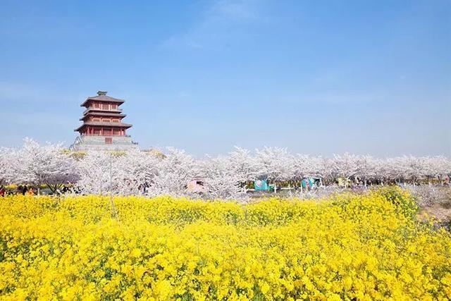 收藏这份郑州赏花攻略，把整个春天装进眼里