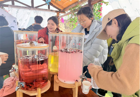 3.8桃花节媒体稿件783