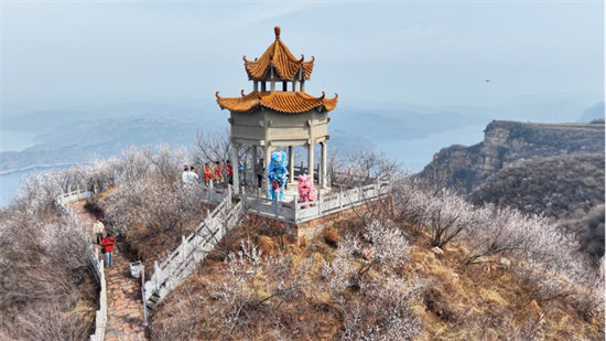 3.8桃花节媒体稿件1190