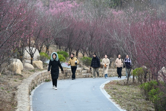 南召县法院开展“巾帼心向党 筑梦绽芳华”三八妇女节主题活动
