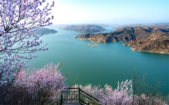 3.8桃花节媒体稿件1365