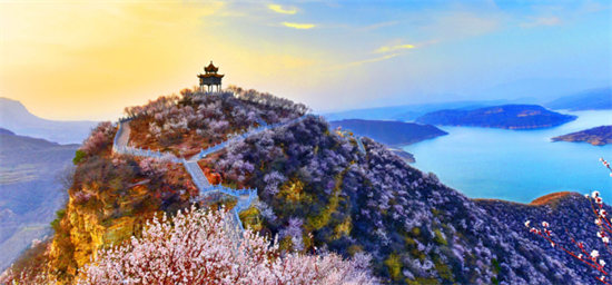 3.8桃花节媒体稿件1418