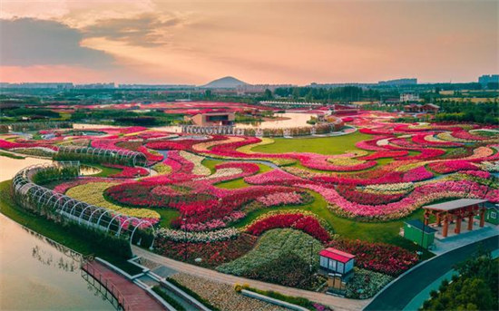 一城春色半城花,南阳2026赏花攻略如约而至!