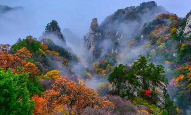 3月10日开园!河南一景区发布公告