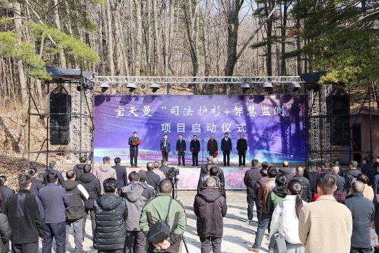 内乡县法院：司法护杉筑屏障 智慧技防护瑰宝