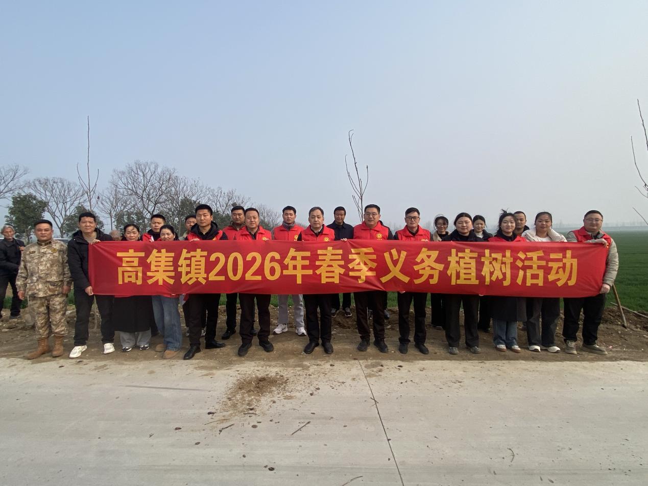 邓州市高集镇：学雷锋践初心  植新绿美家园