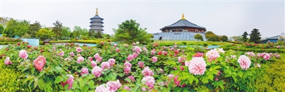 第43届中国洛阳牡丹文化节4月举行