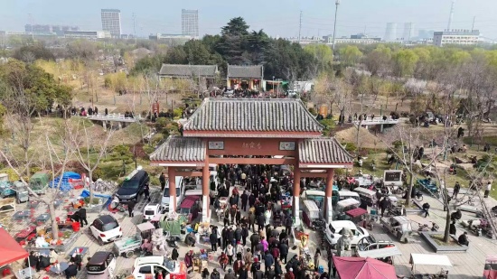 商丘示范区中州街道:龙抬头添喜气 朱台庙会热闹庆新春
