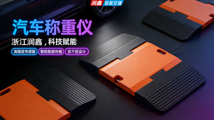 浙江润鑫 STW-18 汽车轮重测试仪 专业测量保障行车安全