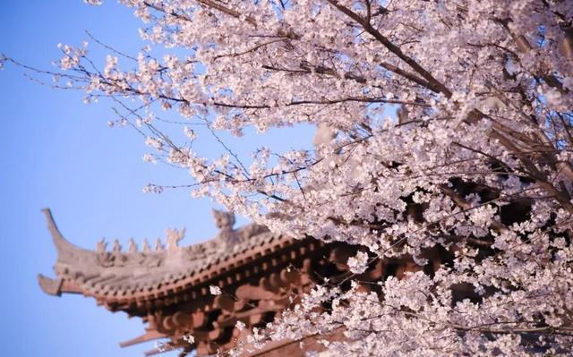 官宣！许昌2026年春季精品线路