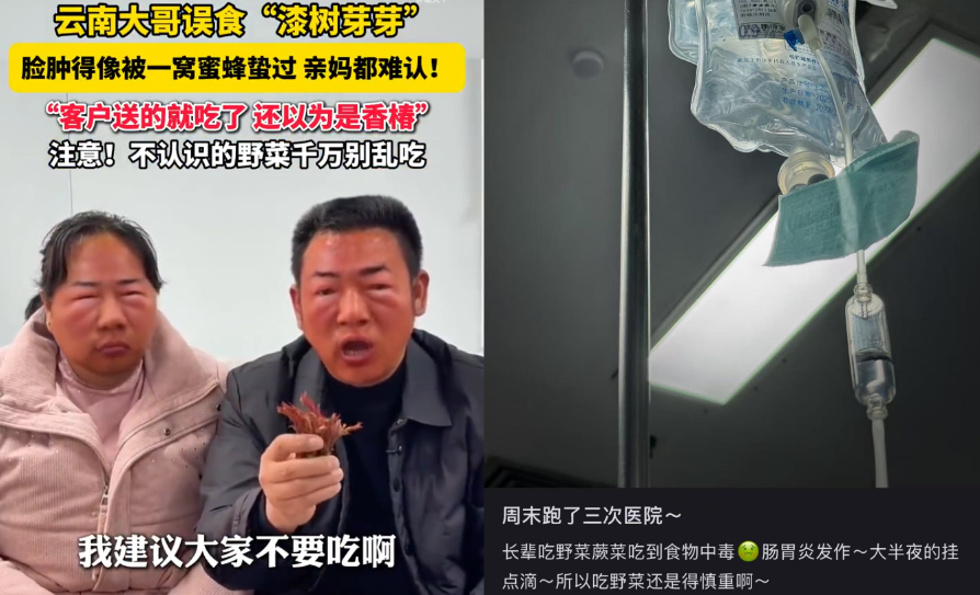 春菜尝“鲜”正当时 这样吃美味又健康