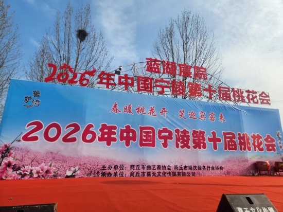 以花为媒兴文旅——中国宁陵第十届桃花会隆重开幕