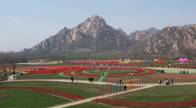 河南遂平：嵖岈山百万株郁金香竞相绽放