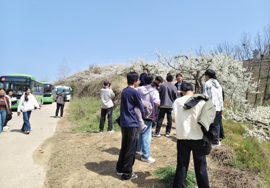 内乡县赤眉镇：桃李争春绽芳华 文旅赋能兴乡村
