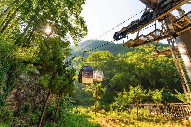 出游请注意！豫西两大景区索道临时停运