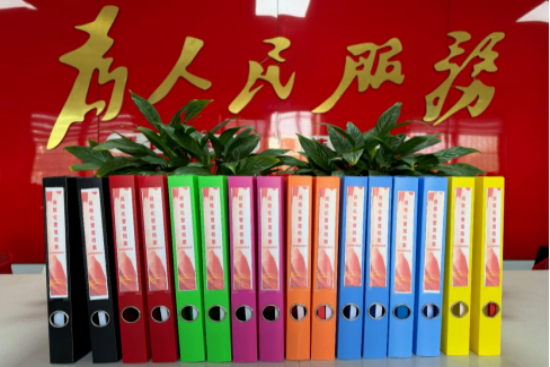 南阳宛城区委社会工作部：党建引领强治理 创新赋能惠民生