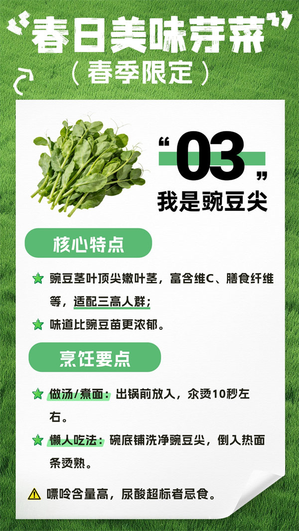 MAIN1775006543545DGMD1AIMQ7