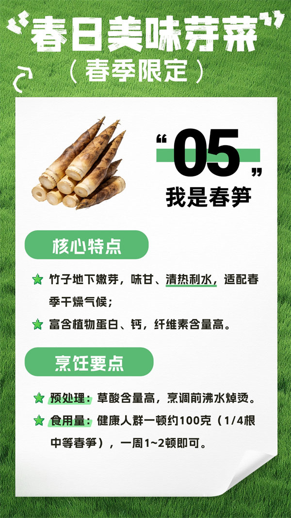 MAIN1775006544009QK385OZYKE