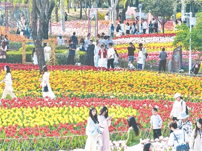 清明假期郑州文旅市场春意盎然