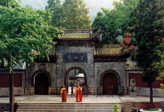 图片9