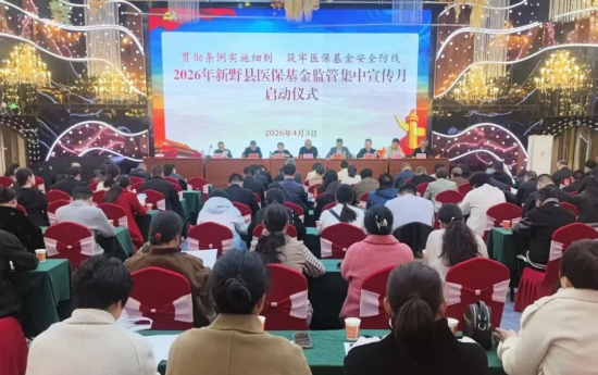 图片13