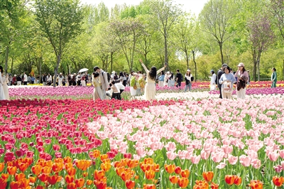 登上央视多个栏目 中牟文旅小长假火爆出圈