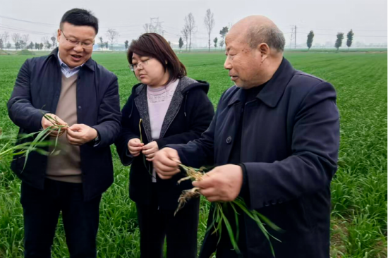 南阳宛城区：产业链上精准发力 项目服务提档升级