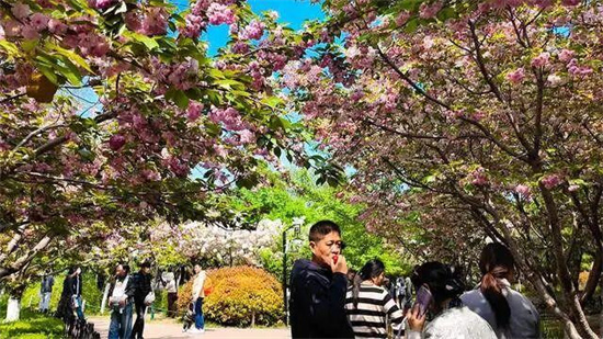 郑州春日地铁游必打卡！花海+园林+千年国宝，全在7号线