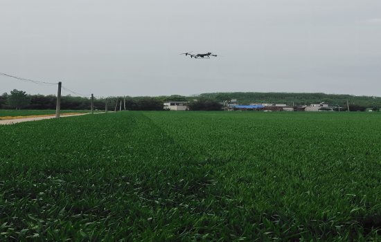 内乡县赤眉镇:无人机“飞防”赋能田间管护 绘就智慧农业新画卷