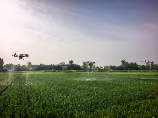 内乡县赵店乡：全面推进小麦“一喷三防”工作 筑牢夏粮丰产防线