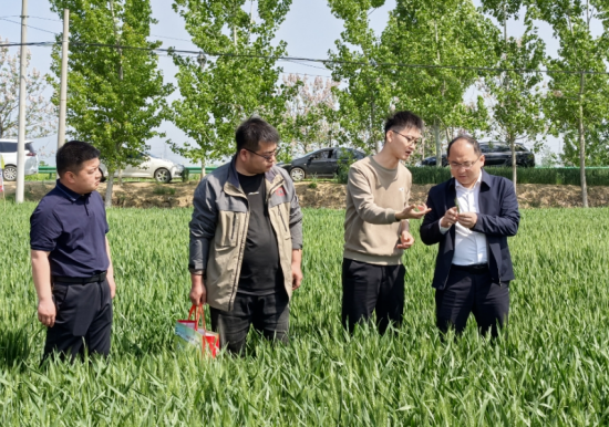 微信图片_2026-04-20_162027_149_副本