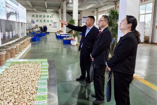 南阳中院开展“法润艾草·知产护航”主题系列活动