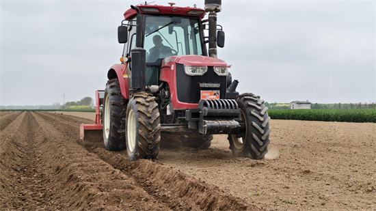 许昌鄢陵：起垄施肥绘春景 精耕细作促振兴