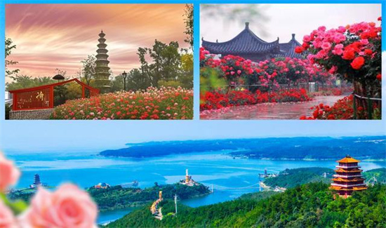 月季花开惠全城！南阳三大景区双向门票半价畅游