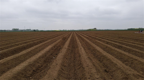 许昌鄢陵：起垄施肥绘春景 精耕细作促振兴
