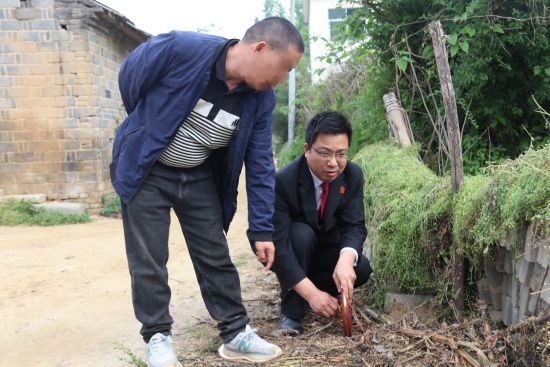 南阳宛城区法院:审执联动通道路 善意执行护乡情