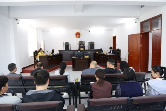 7、观摩团全体人员现场旁听一起公开开庭审理的名誉权纠纷案件庭审