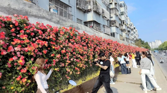图片3
