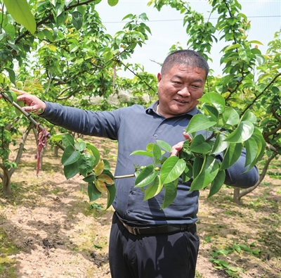 “搬”来产业 “引”来幸福 西华县王桥村驻村第一书记范恒磊驻村也筑村