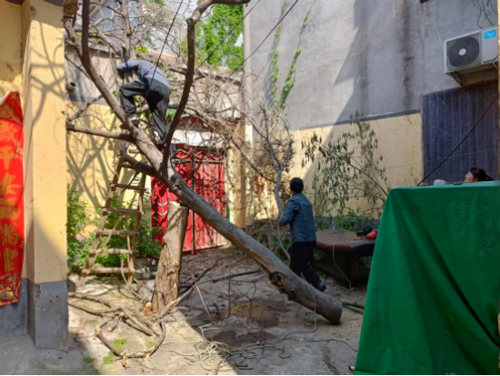 南阳宛城区委社会工作部：小小一张网 兜住万家安
