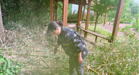内乡县赤眉镇:游园环境专项整治擦亮人居环境新颜值(图1)
