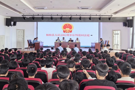桐柏县法院：临近高考敲警钟！这场校园庭审直击升学诈骗骗局