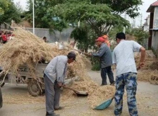 商丘市梁园区观堂镇：开展油菜秸秆集中清理专项行动