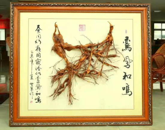 图片2