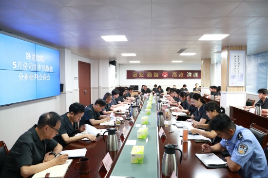 南阳卧龙区法院召开5月份司法审执数据分析研判会商会